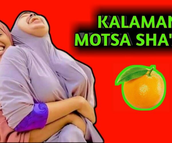 Ultimate Guide To Zafafan Labaran Batsa Masu Tada Sha’Awa